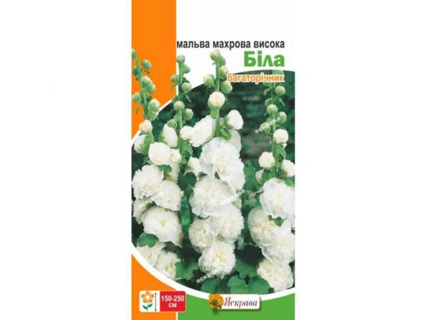 ������ ������� ������ ���� (20 �����) 0,2� ��������� - �������� 1