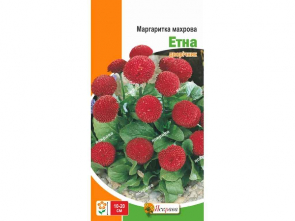 ���������� ������� ���� ������� (20 �����) 0,1� ��������� - �������� 1