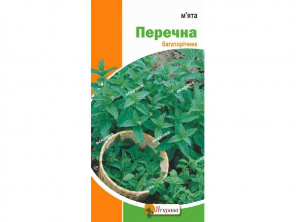 ���� ������� (20 �����) 0,05� ��������� - �������� 1