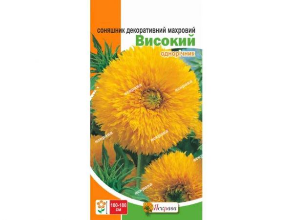 �������� ������������ �������� ������� (20 �����) 2� ��������� - �������� 1