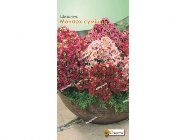 �������� ������ ���� (20 �����) 0,3� ��������� - �������� 1