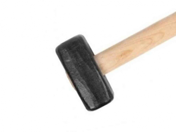 ������� 4�� �������� ���� ��� ����� ��DV - �������� 1