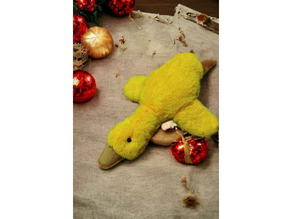 ���� ������� ����� 70�� ������ ��������� - �������� 1