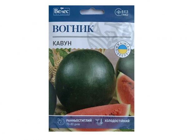 ����� ������ 5� ���Ѳ (10 �����) ������� - �������� 1