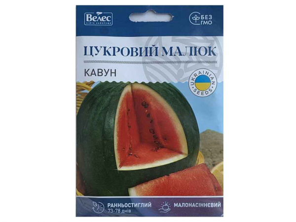 ����� �������� ����� (���� ���) 5� ���Ѳ (10 �����) ������� - �������� 1