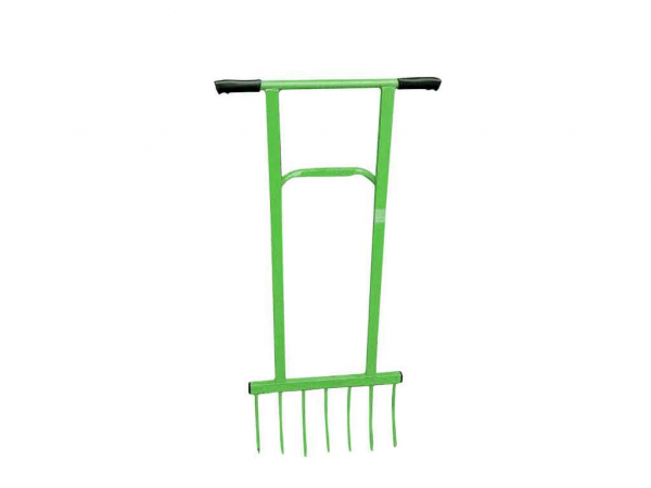 ���� �������� ���� 7 ������, ������ �������� - �������� 1