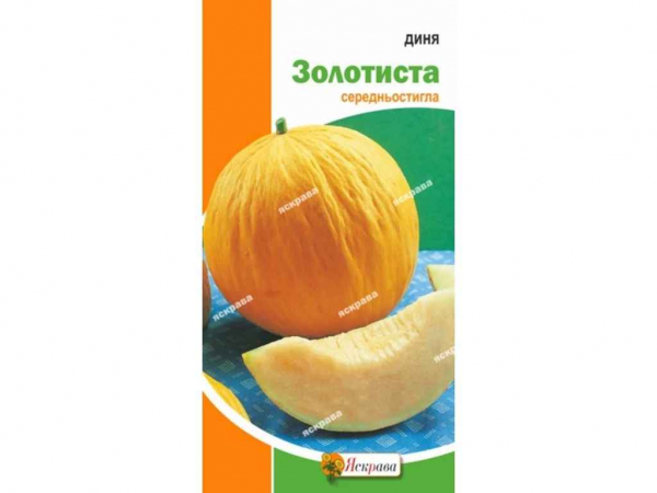 ���� ��������� (20 �����) 2� ��������� - �������� 1