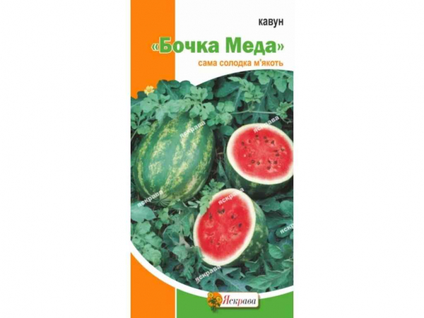 ����� ����� ���� (20 �����) 1.5� ��������� - �������� 1