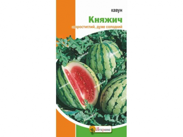 ����� ������ (20 �����) 2� ��������� - �������� 1