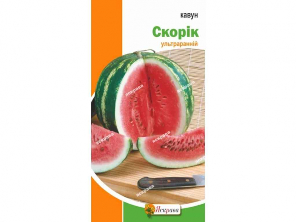 ����� ����� (20 �����) 1,5� ��������� - �������� 1