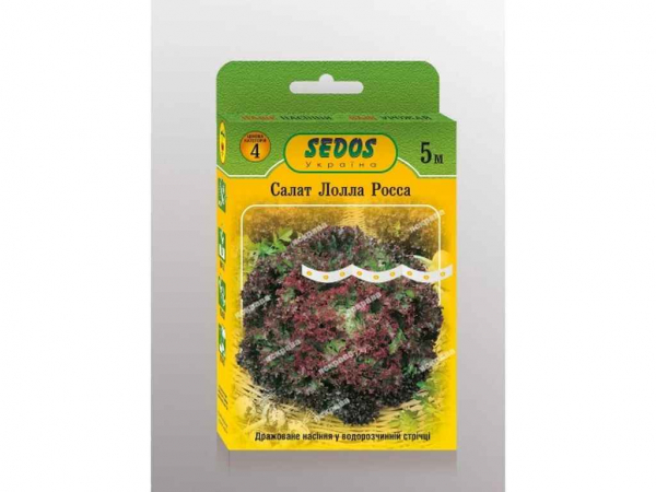 ����� �� ������ ����� ����� (5 �����) 5� ��SEDOS - �������� 1