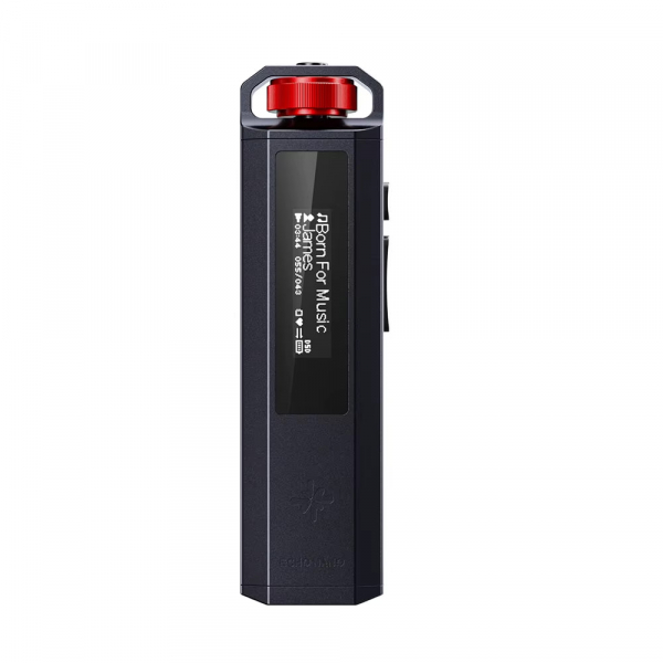 �������� FiiO ECHO NANO black - �������� 1