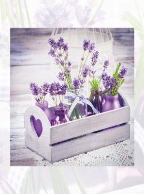 ���������� EVG 20sheet S29x32 LAVENDER - �������� 1