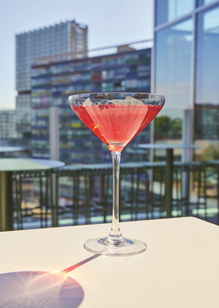 � ����� ������� C&S Symetrie 6�210 �� (V1171/1) - �������� 4