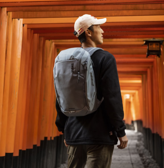  Thule Chasm 26L TCHB-215 Pond Gray (3204984) -  6