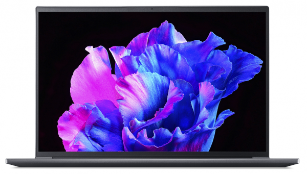 ������� Acer Swift X 14 SFX14-71G-53S0 (NX.KMPEU.001) Steel Gray - �������� 2