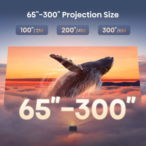 �������� Hisense C2-PRO  (20015299) - �������� 6