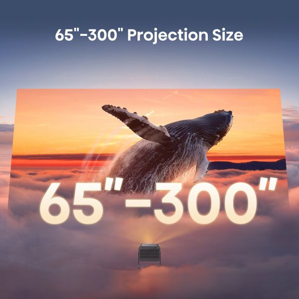  Hisense C2  (20015329) -  5