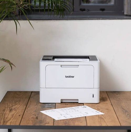 ������� Brother HLL5210DNRE1 - �������� 4