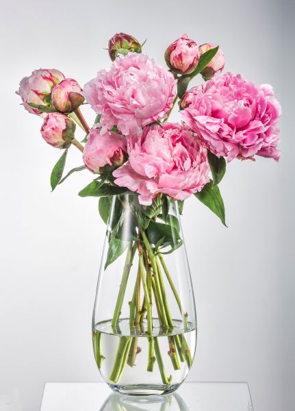  Bohemia Crystal Margo Plain, 30.5  (B82237-305) -  2