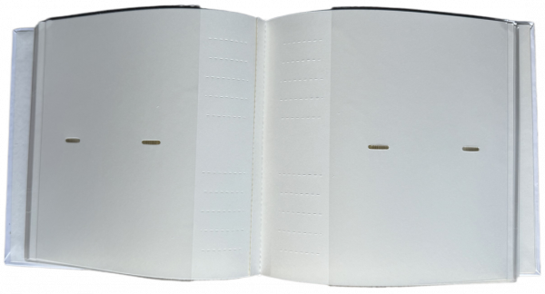 ���������� EVG 10x15x300 BKM46300(2-up) Sring Twig - �������� 2