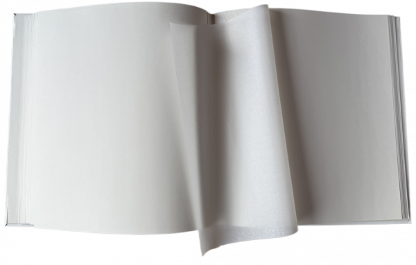 ���������� EVG 20sheet T29x32 White Bant - �������� 2