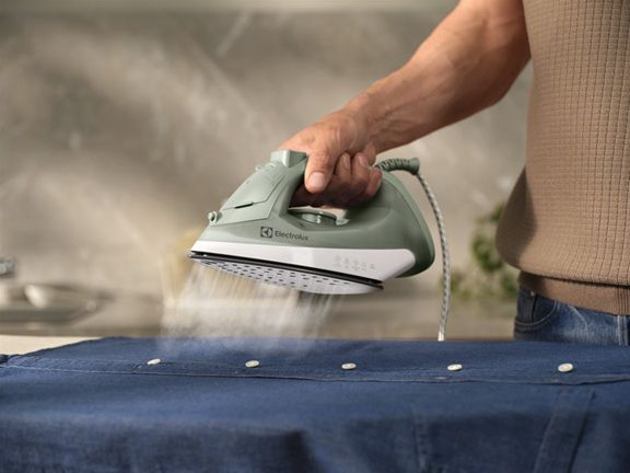 ���� Electrolux E3SI1-2LG  (910004050) - �������� 10