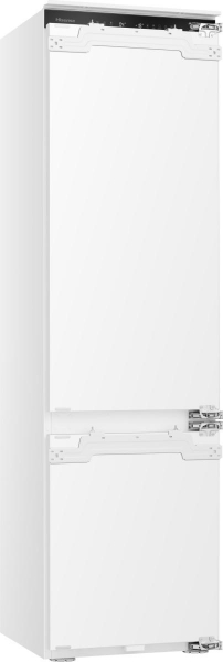 ������������ ����������� ����������� Hisense RB3B280SAWE (BCD-280WQ)  (20013391) - �������� 2