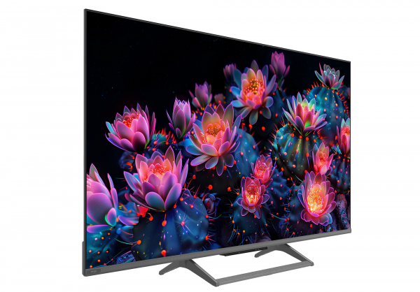 ���������� ERGO 55MQ90 Ultra - �������� 3