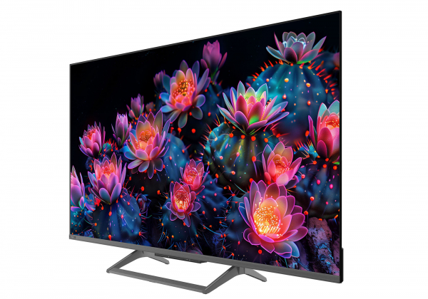 ���������� ERGO 55MQ90 Ultra - �������� 11