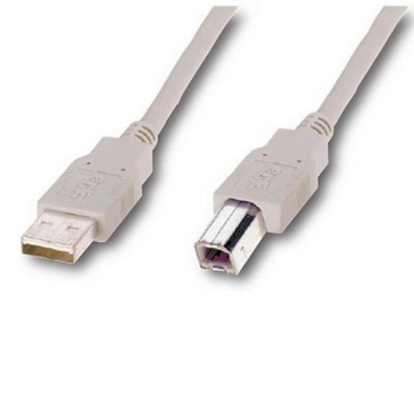 ������ ��� �������� Atcom USB 2.0 AM/BM (10109) - �������� 1