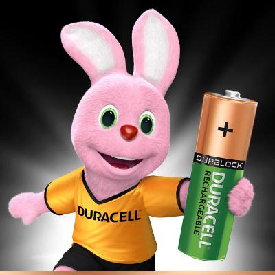  Duracell AA HR6 1300mAh * 2 (81367175) -  2