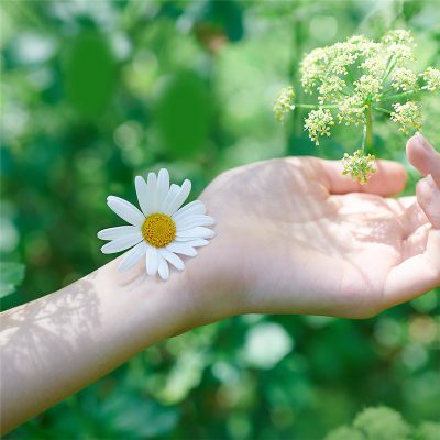 ó㳺����� ��������� Naturella Classic Maxi 8 �� (4015400317999) - �������� 6