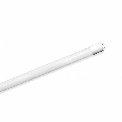�������� Eurolamp G13 (LED-T8-18W/4100) - �������� 1