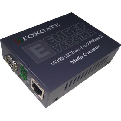  FoxGate 10/100/1000Base-T RJ45 to 1000Base-SX/LX SFP slot (EC-SFP1000-FE/GE) -  1