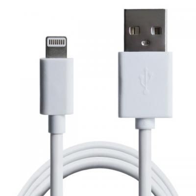   USB 2.0 AM to Lightning 1.0m Cu, 2.1 White Grand-X (PL01W) -  2