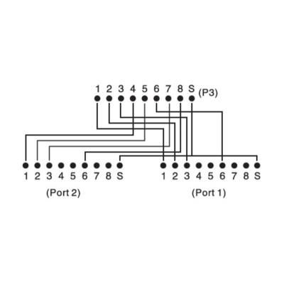 ������������ DIGITUS ����� ����, STP, cat.5e, 1x2RJ-45 (DN-93904) - �������� 2