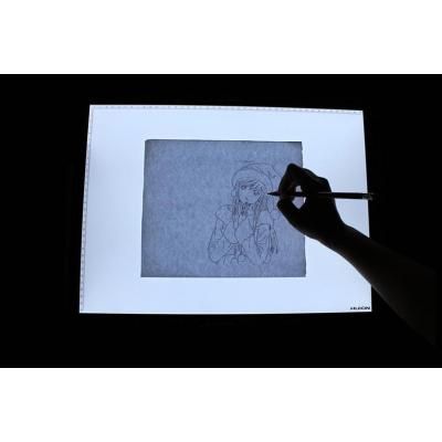 ��������� ������� Huion L4S - �������� 10