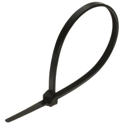 ������ Ritar 250��/4.0��, ������, 100 �� (CTR-B4250) - �������� 2