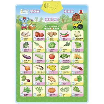 ������������� ������� Smart Koala ����������� ����� (SKCIV2) - �������� 1