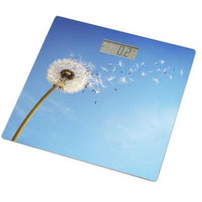   Grunhelm BES-BLB -  1