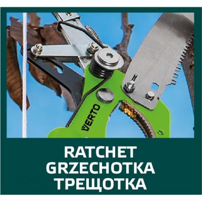 ������� Verto ��������� � ������ (15G260) - �������� 3