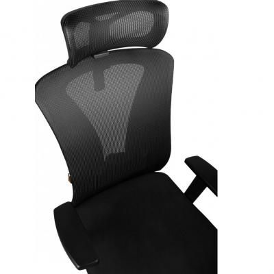 ����� ������ Barsky Mesh (BM-02) - �������� 4