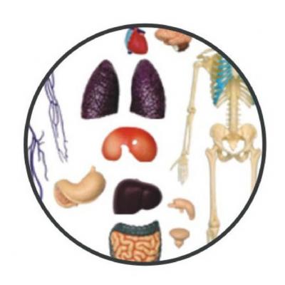 ���� 4D Master �������� ������������� ������ ���� �������� ���������� (FM-626204) - �������� 3