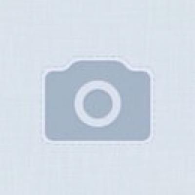 �������� ������������� WYNN'S SUPREMIUM DIESEL 250�� (W22911) - �������� 2