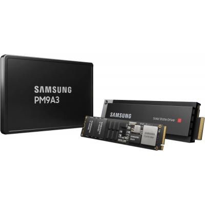 SSD ���������� Samsung PM9A3 960GB U.2 2.5" (MZQL2960HCJR-00A07) - �������� 1