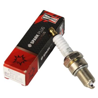 ����� ����������� Champion OE006/T10 - �������� 2