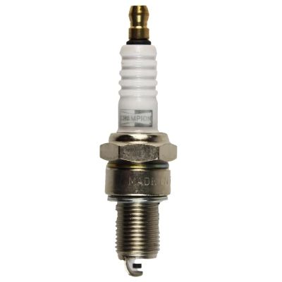 ����� ����������� Champion OE006/T10 - �������� 1