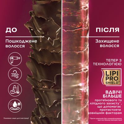 ����������� ��� ����� OGX Keratin Oil ������ �������� � ����������� ������ 385 �� (0022796977526) - �������� 3