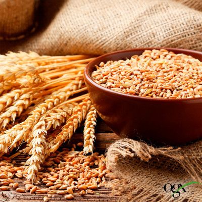 ������� OGX Biotin & Collagen ��� �������� ������, ������ ����� 385 �� (0022796976703) - �������� 9